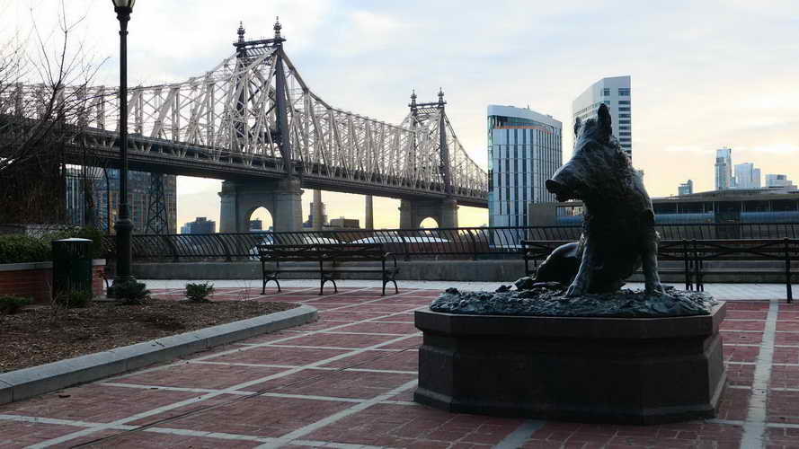 NYC_2020-01-27 07-40-54_P1070720